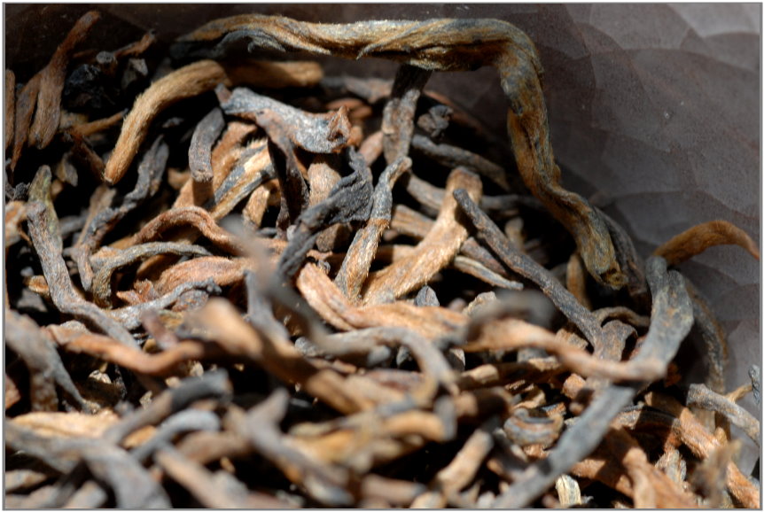 arany rügy shu puerh tea